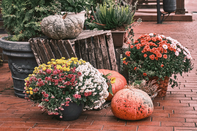 De Tuin Winterklaar Maken Hoe Doe Je Dat Winterperiode